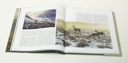 Deer : Artists' Impressions Martin Ridley Paintings